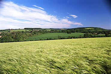 Farmland, Darent Valley, North Downs, near Eynsford, Kent, England, United Kingdom, Europe