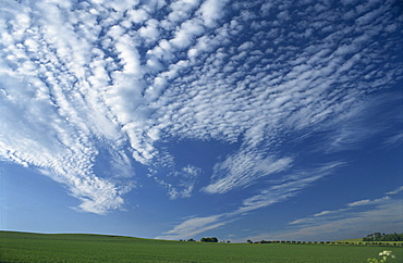 White clouds in blue skies above farmland near Eynsford in the Darent Valley, North Downs, near Sevenoaks, Kent, England, United Kingdom, Europe