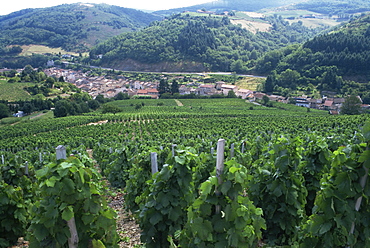 Beaujolais vineyards, Beaujeau village, Rhone Valley, France, Europe