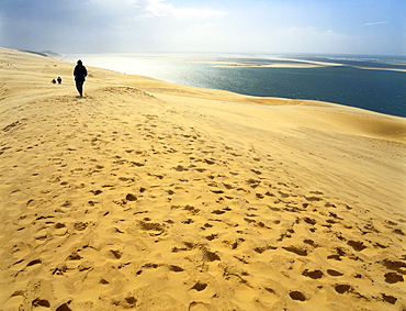 Dune de Pilat, Gironde, Aquitaine, France