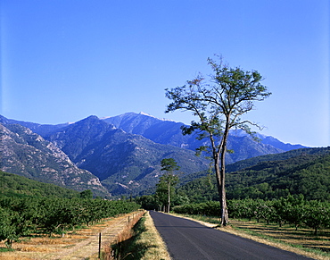 Mount Canigou, Pyrenees-Orientale, Languedoc Roussillon, France, Europe