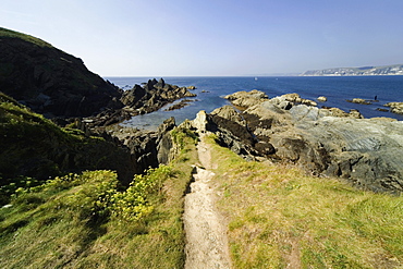 Footpath, Burgh island, Bigbury, South Hams, Devon, England, United Kingdom, Europe