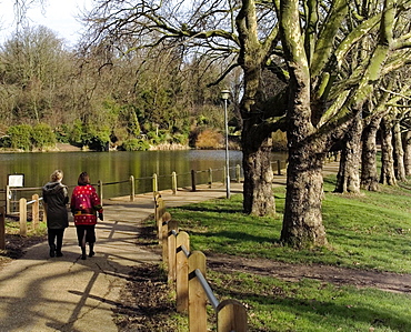 Hampstead ponds, Hampstead Heath, London, England, United Kingdom, Europe