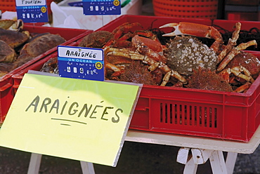 Crabs for sale, Barneville Carteret, Cotentin Peninsula, Manche, Normandy, France, Europe