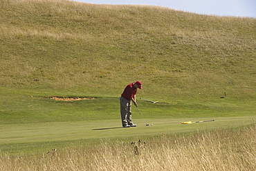 Golfer putting on public golf course, Cleeve Hill, The Cotswolds, Gloucestershire, England, United Kingdom, Europe