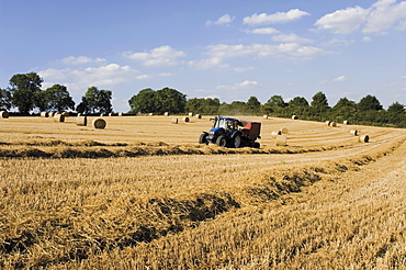 Tractor harvesting near Chipping Campden, along the Cotswolds Way footpath, The Cotswolds, Gloucestershire, England, United Kingdom, Europe