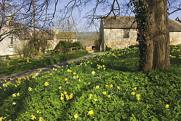 Farm, village of Winchcombe, the Cotswolds, Gloucestershire, England, United Kingdom, Europe