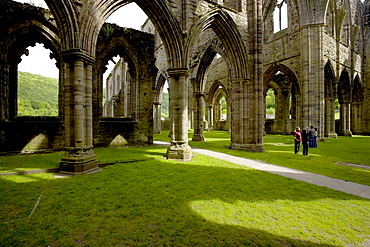 Tintern Abbey, Monmouthshire, Wales, United Kingdom, Europe