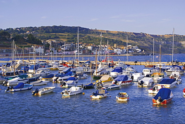 The Cobb harbour, Lyme Regis, Jurassic Coast, Dorset, England, United Kingdom, Europe