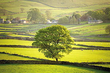 Peak District National Park, Derbyshire, England, United Kingdom, Europe