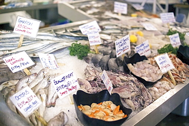 Fish market, Whitstable, Kent, England, United Kingdom, Europe