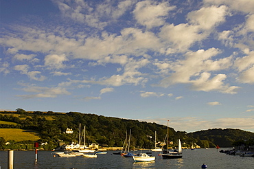 Salcombe, South Hams, Devon, England, United Kingdom, Europe