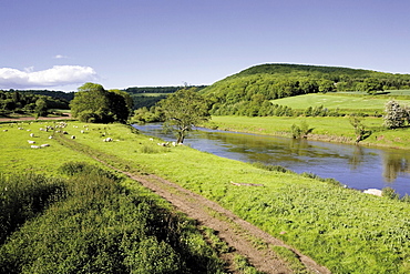 Valley of the River Wye near Tintern on the borders of Gloucestershire and Monmouthshire, Wales, United Kingdom, Europe