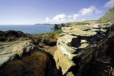 National Trust land at Prawle Point, South Hams, Devon, England, United Kingdom, Europe