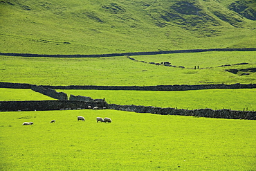 Edale, Peak District National Park, Derbyshire, England, United Kingdom, Europe