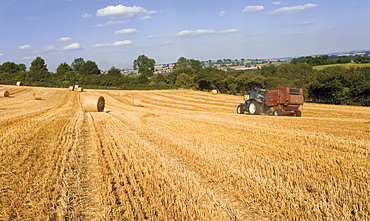 Harvesting near Chipping Campden, Cotswold Way footpath, Gloucestershire, Cotswolds, England, United Kingdom, Europe