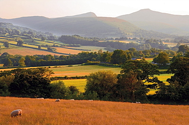 Brecon Beacons National Park, Powys, Wales, United Kingdom, Europe