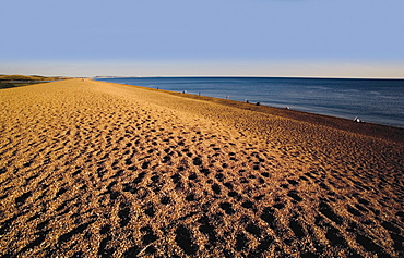 Chesil Beach, Dorset, England, United Kingdom, Europe