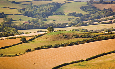 Countryside along coast path to Thornecombe Beacon, Eype Mouth, Jurassic Coast, near Bridport, Dorset, England, United Kingdom, Europe