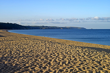 Torcross village, Slapton Ley Sands, South Hams, Devon, England, United Kingdom, Europe