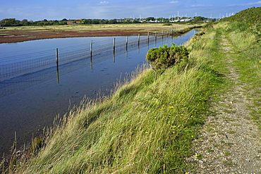 View of salt marshes from the Solent Way footpath, New Forest National Park, Lymington, Hampshire, England, United Kingdom, Europe