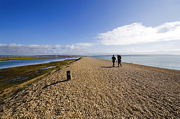 Hurst Spit, Keyhaven, Hampshire, England, United Kingdom, Europe