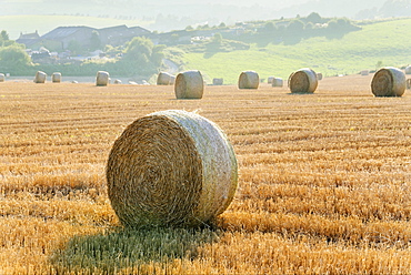 Hay bales in a field on a farm, South Downs, Sussex, England, United Kingdom, Europe