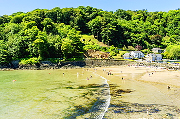 North Beach Bay, Salcombe, Devon, England, United Kingdom, Europe