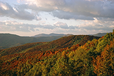 Earling morning landscape, Little Switzerland, Blue Ridge Parkway, North Carolina, United States of America (U.S.A.), North America