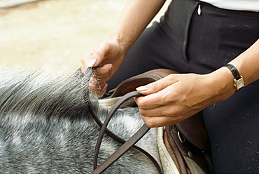 Hands holding reins, England, United Kingdom, Europe