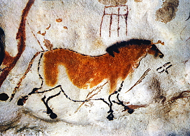 Cave painting, Lascaux, Aquitaine, France *** Local Caption ***