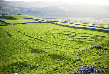 Remnants of Celtic settlement on limestone bench, Hill Castles, Wharfedale, Yorkshire Dales National Park, Yorkshire, England, United Kingdom, Europe