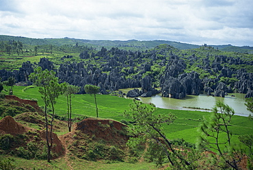 Rice paddies, lakes and limestone pinnacles in the Stone Forest area of Lunan in Yunnan Province, China, Asia