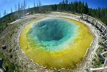 The Morning Glory Pool, Yellowstone National Park, UNESCO World Heritage Site, Wyoming, United States of America, North America