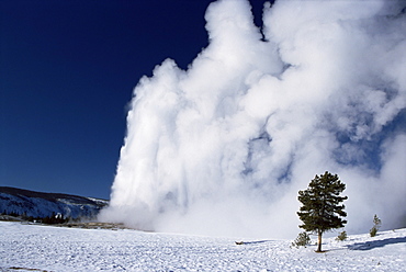 Winter eruption, Old Faithful geyser, Yellowstone National Park, UNESCO World Heritage Site, Wyoming, United States of America, North America