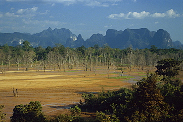 Encroaching forest in limestone basin, Phontiou tin mine, plain of mine tailings and pollution, Khammouan, Laos, Indochina, Southeast Asia, Asia 