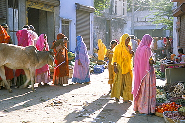 Typical coloured Rajasthani saris, Pushkar, Rajasthan, India, Asia