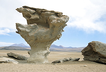 Arbol de Piedra, wind eroded rock near Laguna Colorada, Southwest Highlands, Bolivia, South America