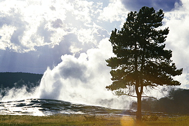 Geothermal steam from geyser vent between eruptions, Yellowstone National Park, UNESCO World Heritage Site, Wyoming, United States of America (U.S.A.), North America