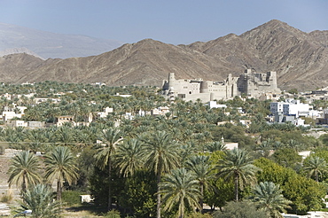 Fort in palmery on edge of modern oasis town, Bahla, Oman, Middle East