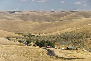 Loess hills in John Day River basin, Wheeler County, Oregon, United States of America, North America