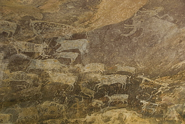 Some of the animals in the Palaeolithic artwork on the roof of the Zoo Cave, Bhimbetka Caves, a large group of rock shelters in quartzitic sandstone in the hills above Obaidullaganj, south of Bhopal, Madhya Pradesh state, India, Asia