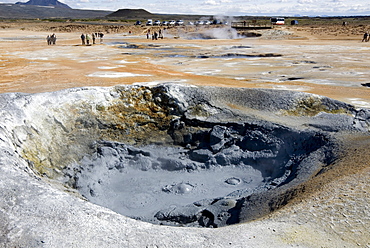 Boiling mud pool, Namafjall geothermal area, near Lake Myvatn, northeast area, Iceland, Polar Regions