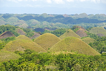 Chocolate Hills, conical hills in tropical limestone karst, Carmen, Bohol, Philippines, Southeast Asia, Asia