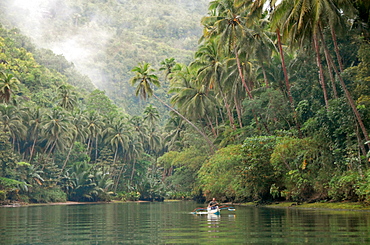 Loboc River, Bohol, Philippines, Southeast Asia, Asia