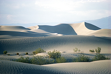 Sand dunes on valley floor, Death Valley, California, United States of America (U.S.A.), North America