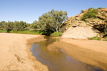 The surviving pool in the normally dry riverbed, thought to be a spring from bedrock so was named Alice Springs, in the town of the same name, Alice Springs, Northern Territory, Australia, Pacific