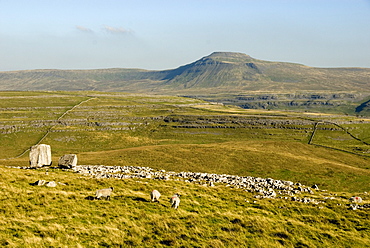 Ingleborough, seen beyond the Cheese Press Stone above Kingsdale, Yorkshire Dales, Yorkshire, England, United Kingdom, Europe