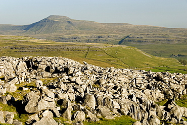 Ingleborough, seen from limestone benches above Kingsdale, Yorkshire Dales, Yorkshire, England, United Kingdom, Europe