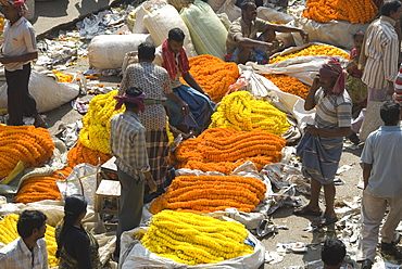 Armenia Ghat flower market, Kolkata (Calcutta), West Bengal, India, Asia